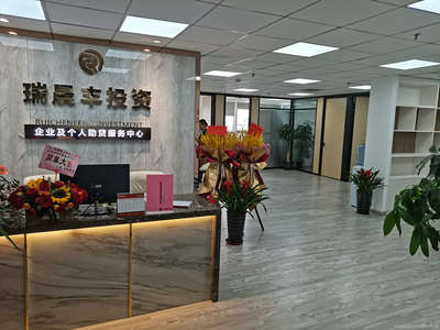 专业助力，信息赋能 探析广西瑞晨丰商务信息咨询服务有限责任公司的服务价值